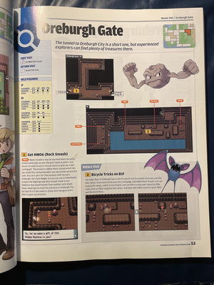 Official Nintendo Pokemon Diamond Version & Pearl Version Player's Guide,New