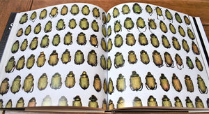 Evidence of Evolution,Used