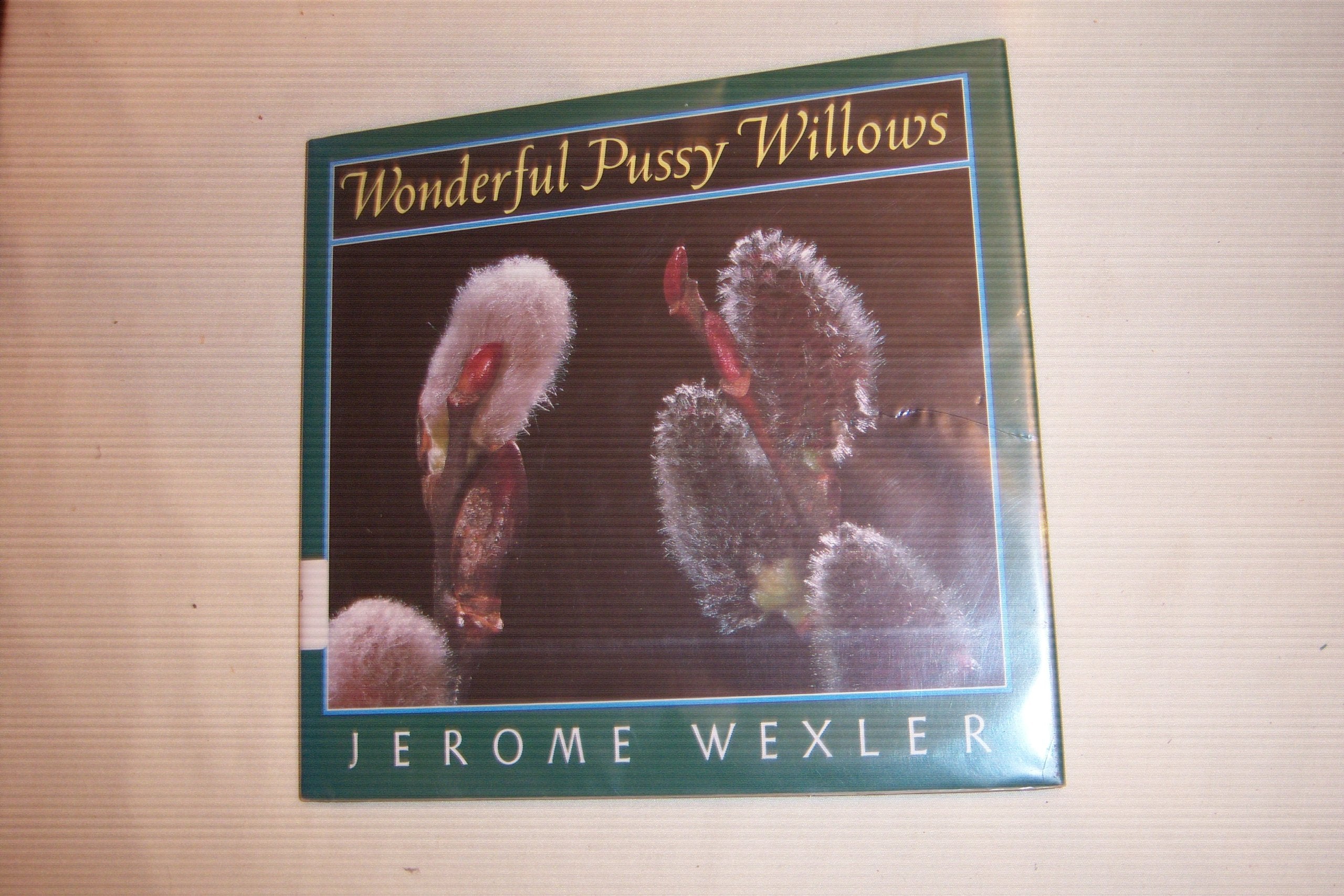 Wonderful Pussy Willows,Used