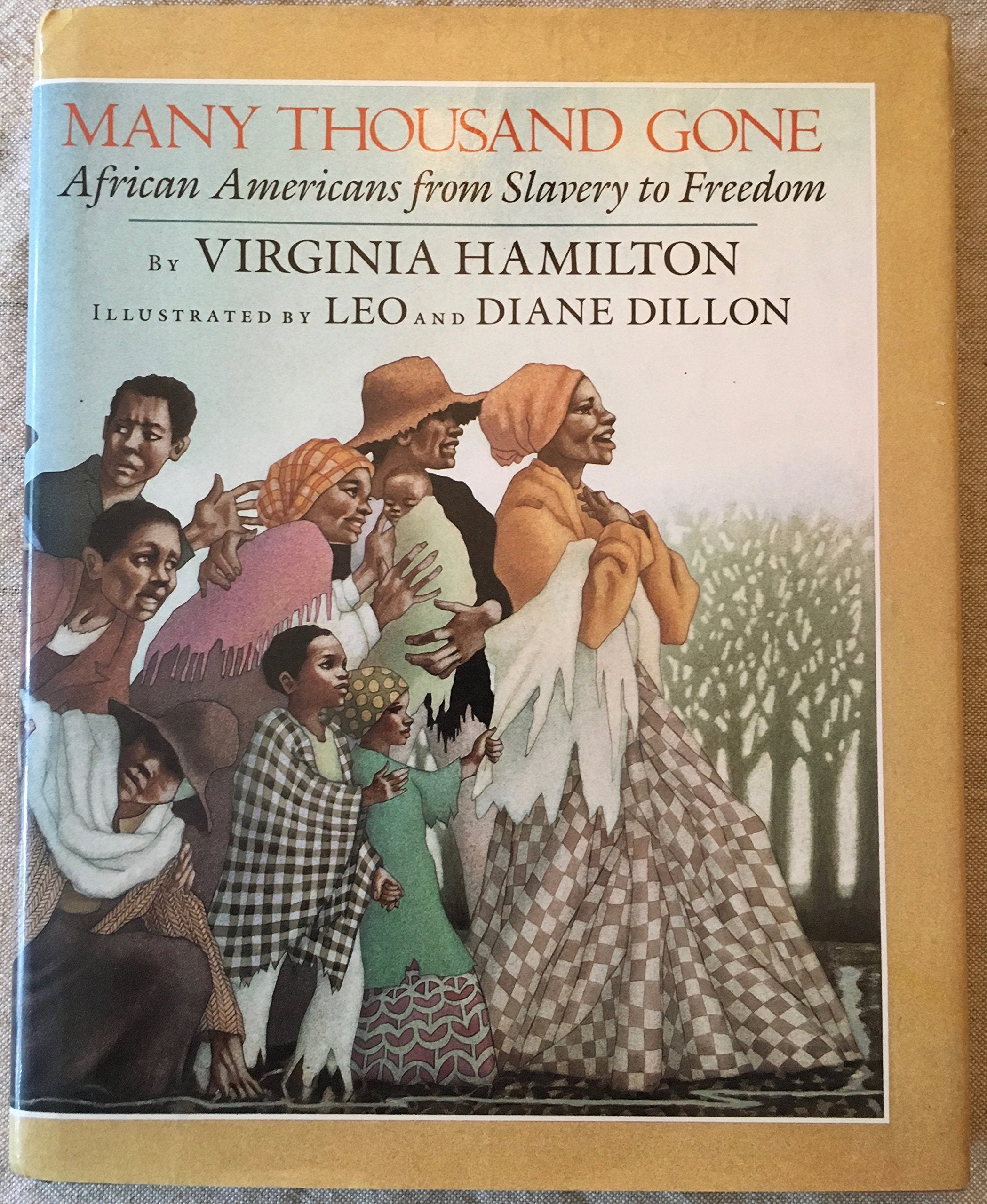 Many Thousand Gone: African Americans From Slavery To Freedom-used