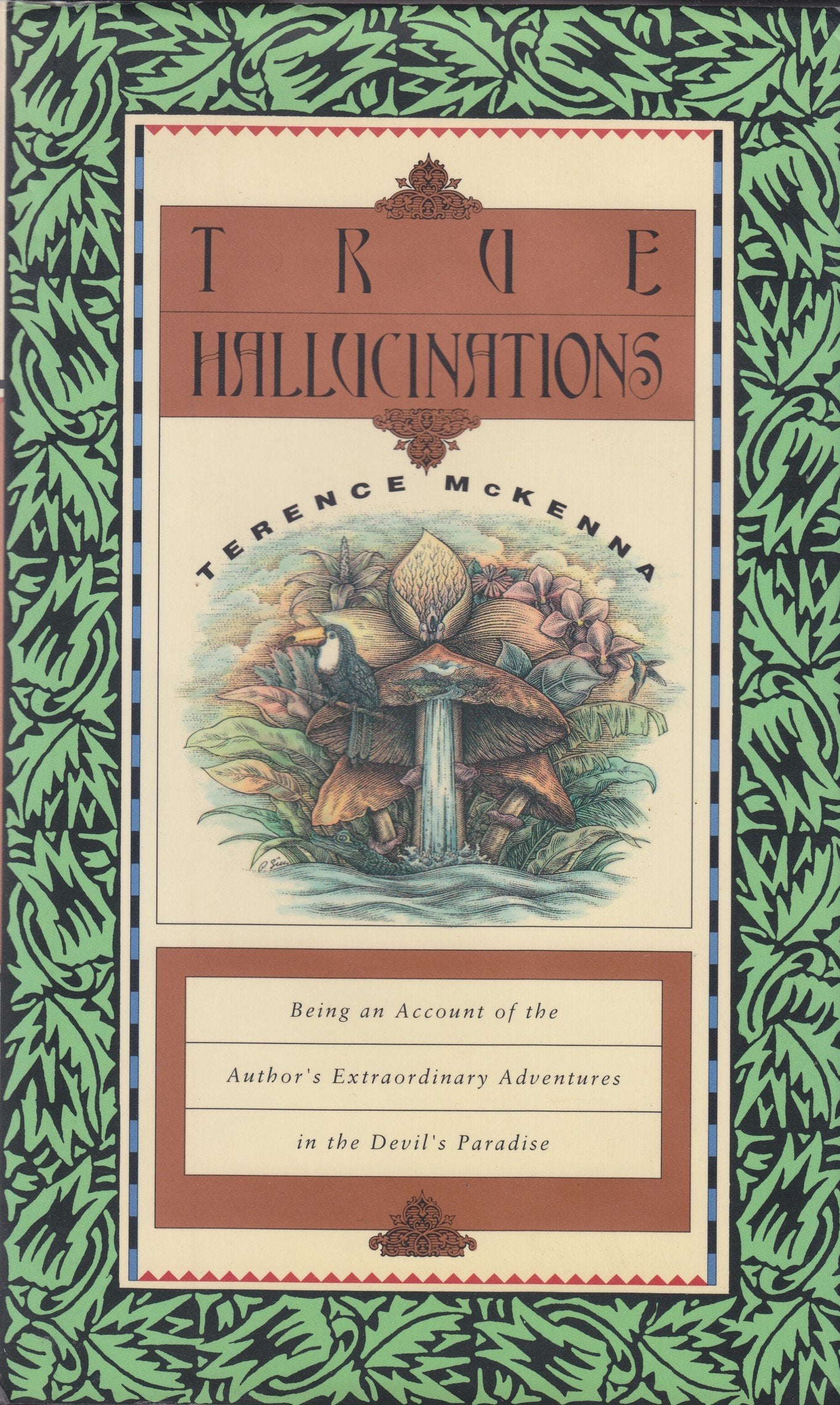 True Hallucinations: Being An Account Of The Author'S Extraordinary Adventures In The Devil'S Paradise