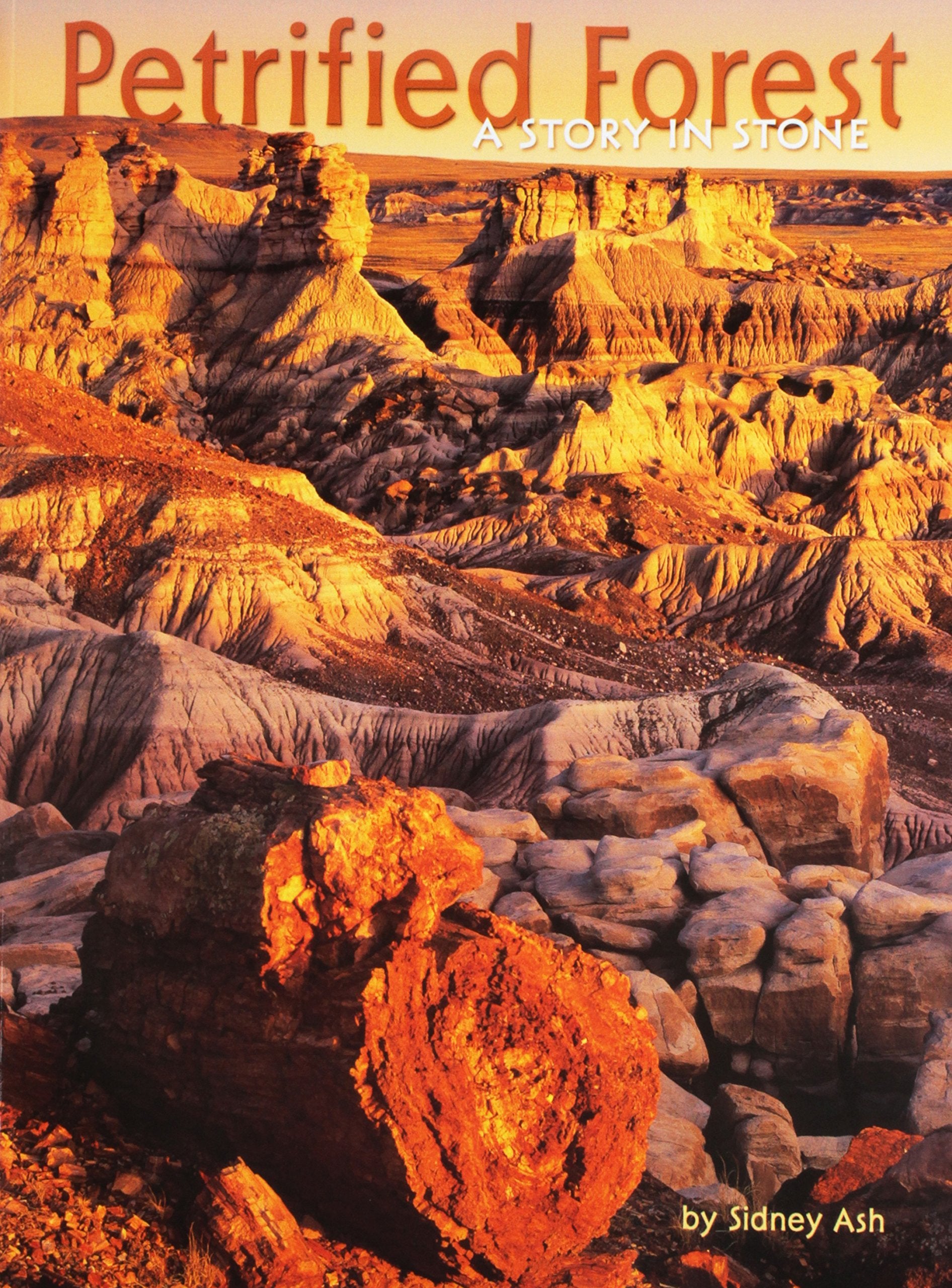 Petrified Forest: A Story in Stone,Used