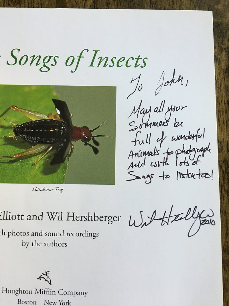 The Songs Of Insects,New