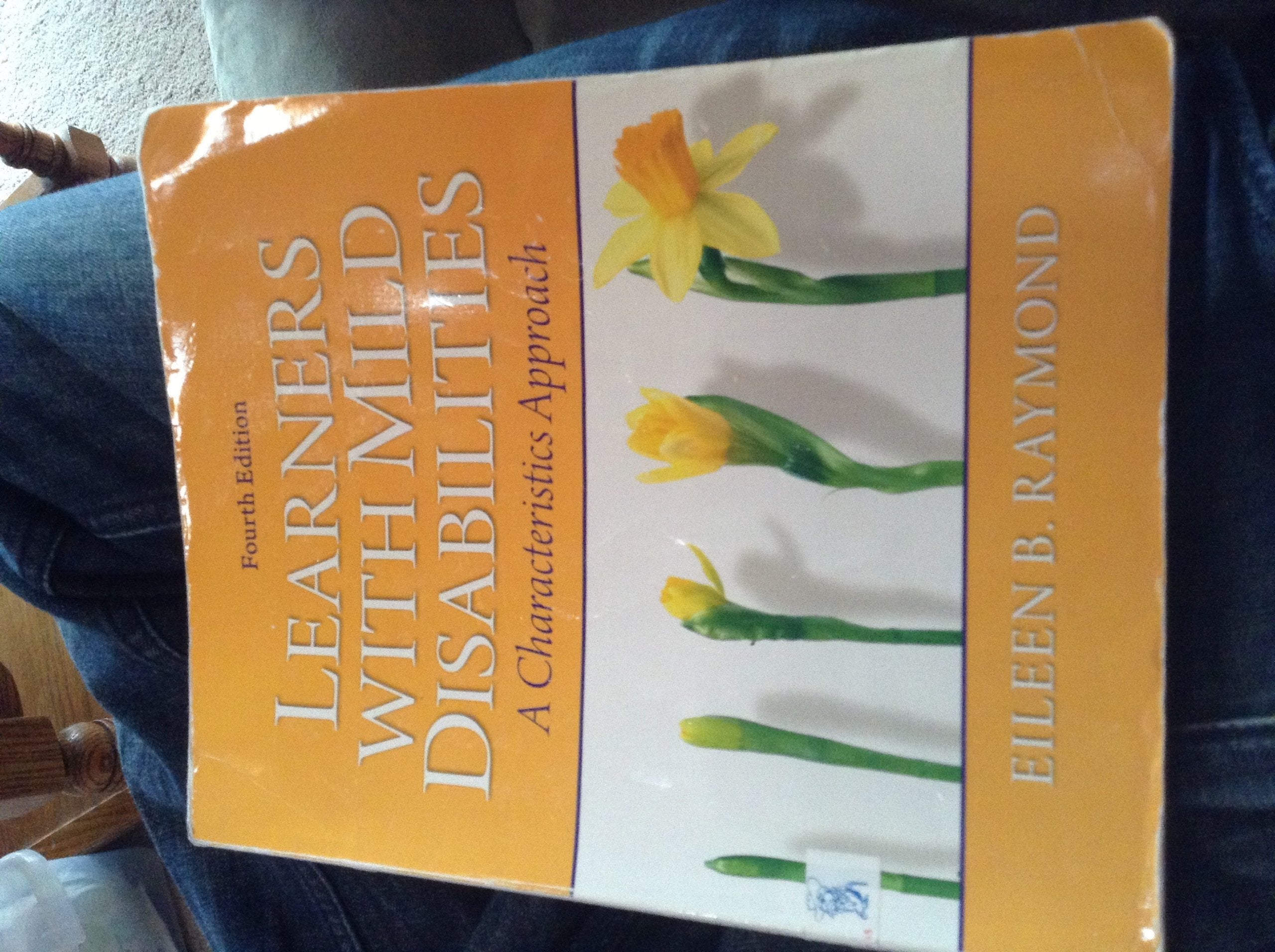 Learners With Mild Disabilities: A Characteristics Approach (4Th Edition)