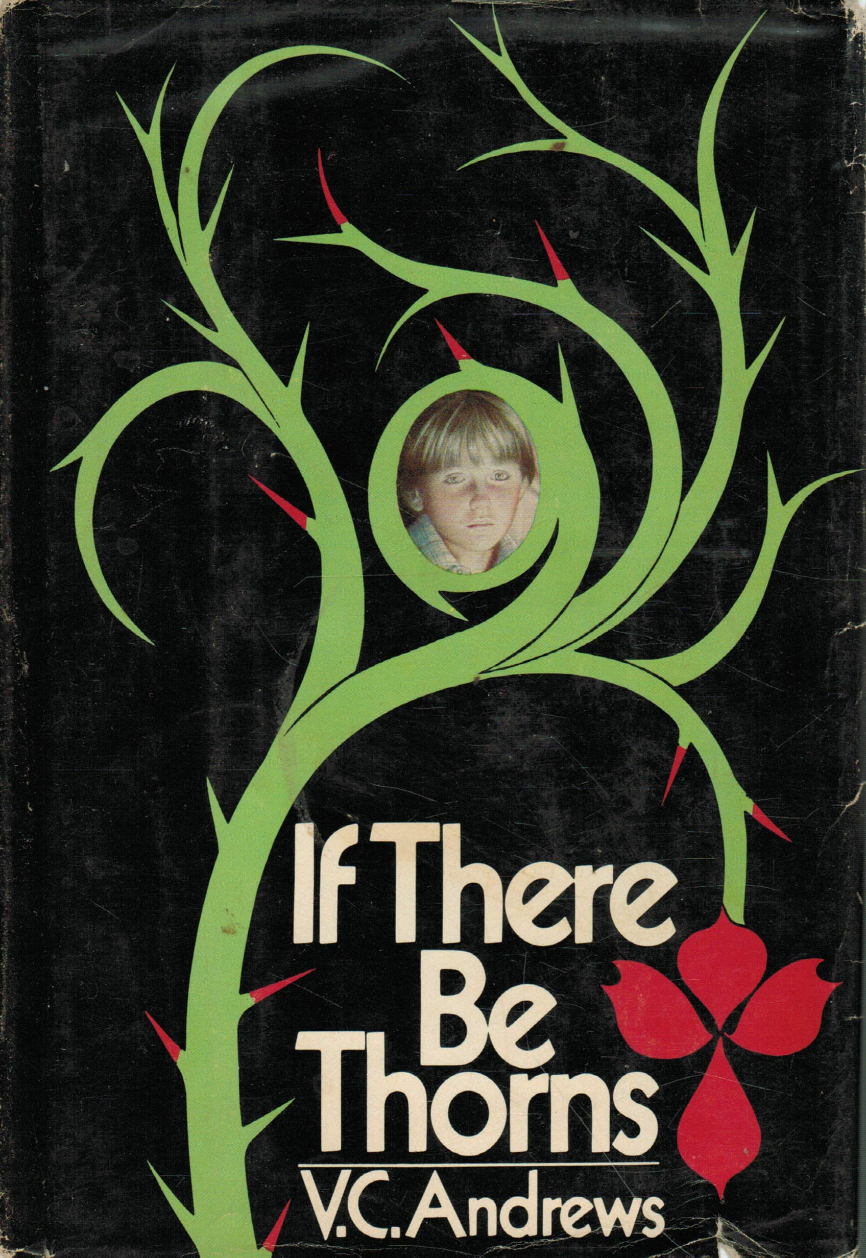 If There Be Thorns,New