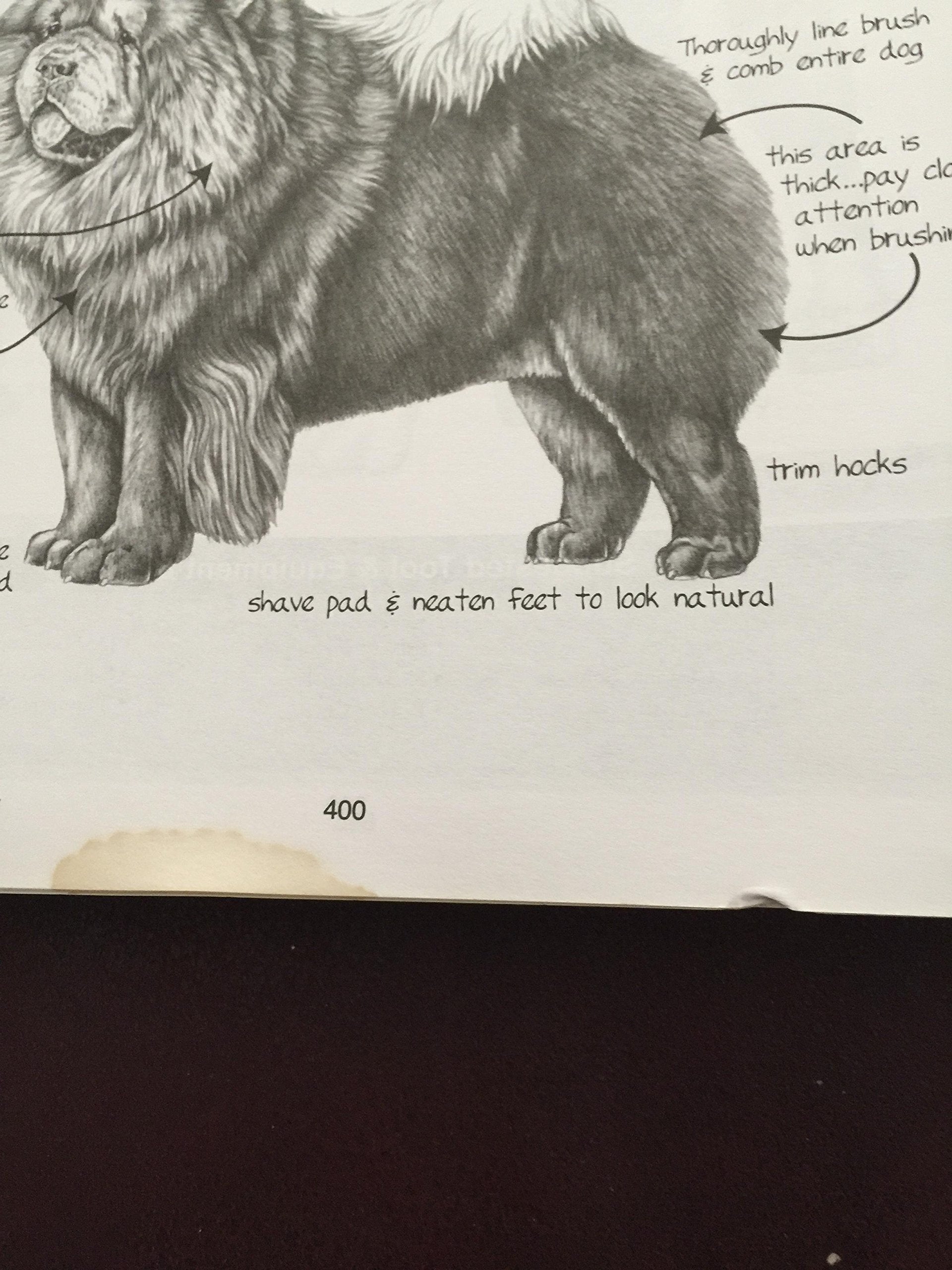 Notes From The Grooming Table by Melissa Verplank,Used