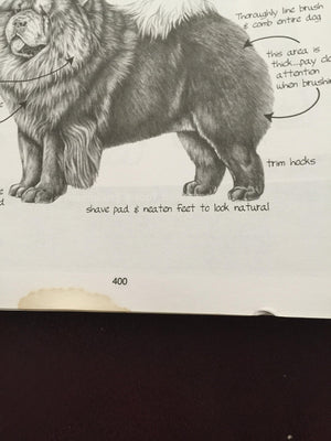 Notes From The Grooming Table by Melissa Verplank,Used