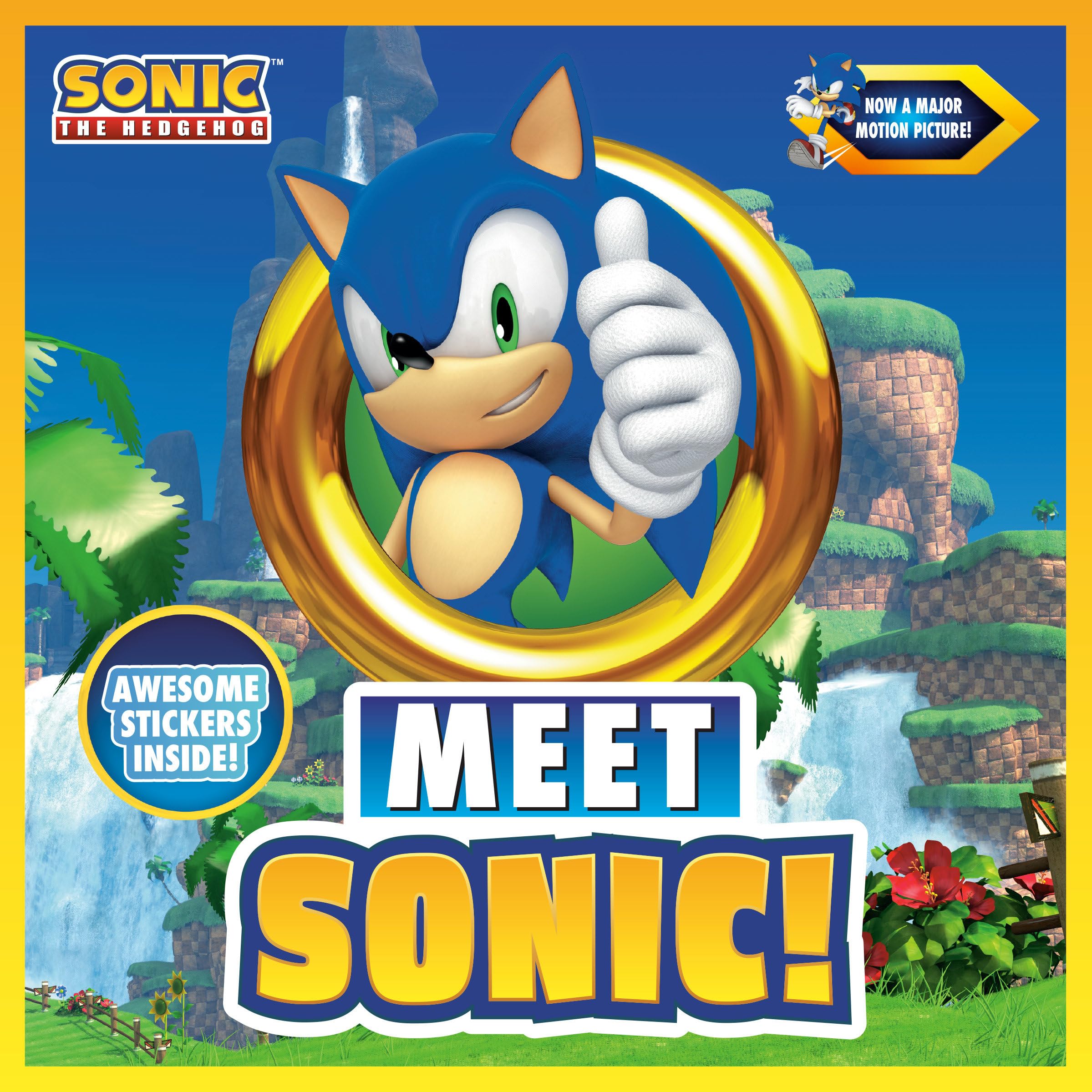 Meet Sonic!: A Sonic The Hedgehog Storybook-used