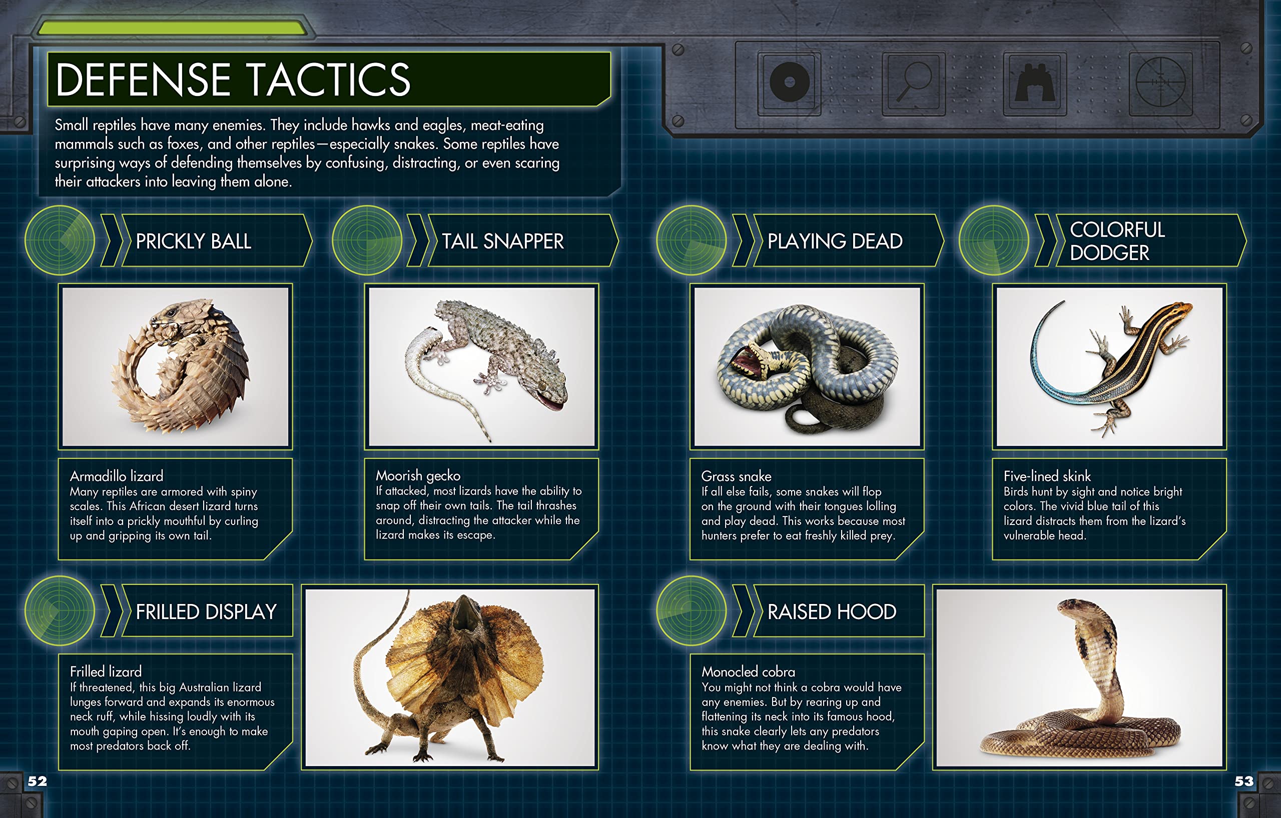 Everything You Need to Know About Snakes,New