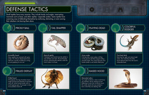 Everything You Need to Know About Snakes,New