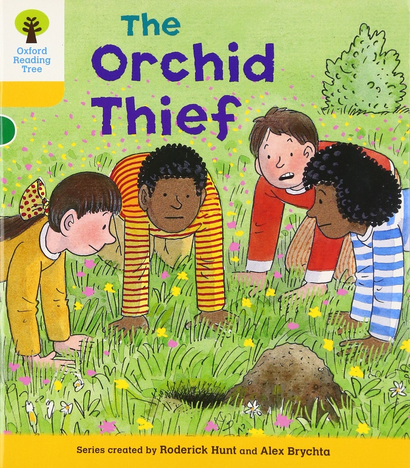 Oxford Reading Tree: Level 5: Decode and Develop the Orchid Thief,Used