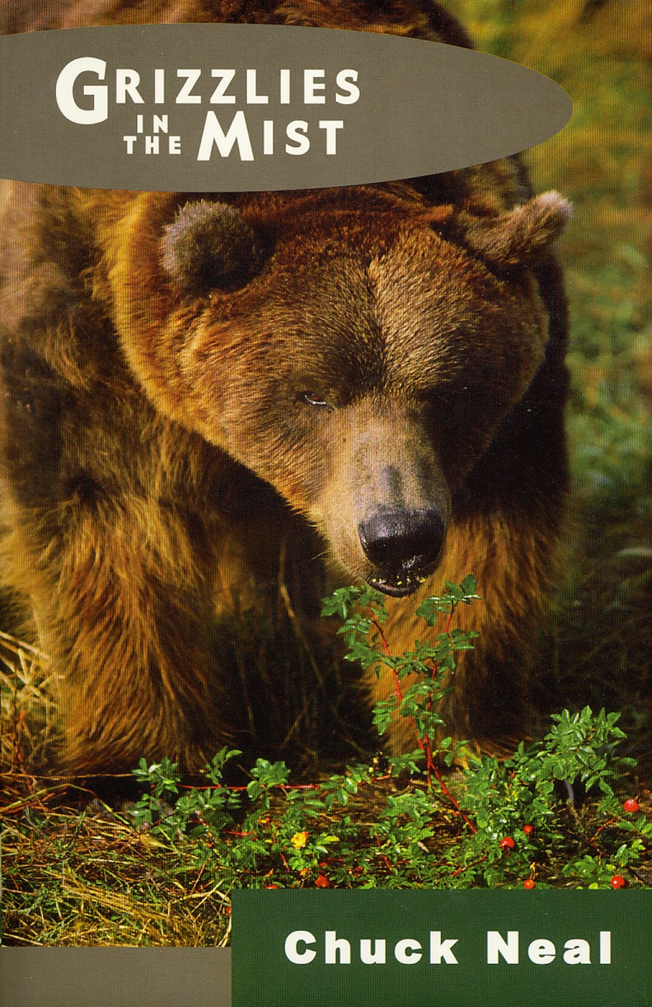 Grizzlies in the Mist,Used