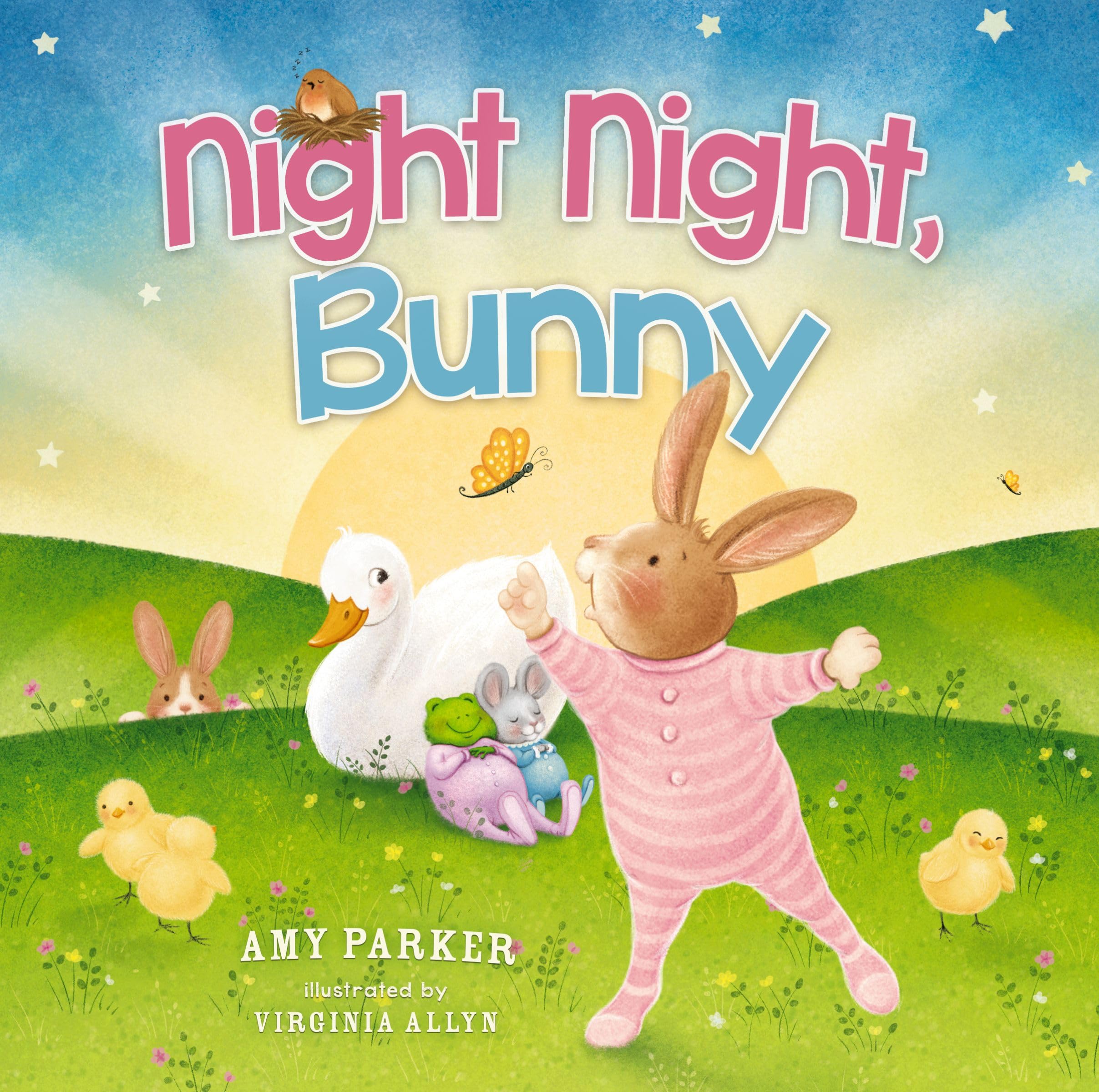 Night Night, Bunny,Used