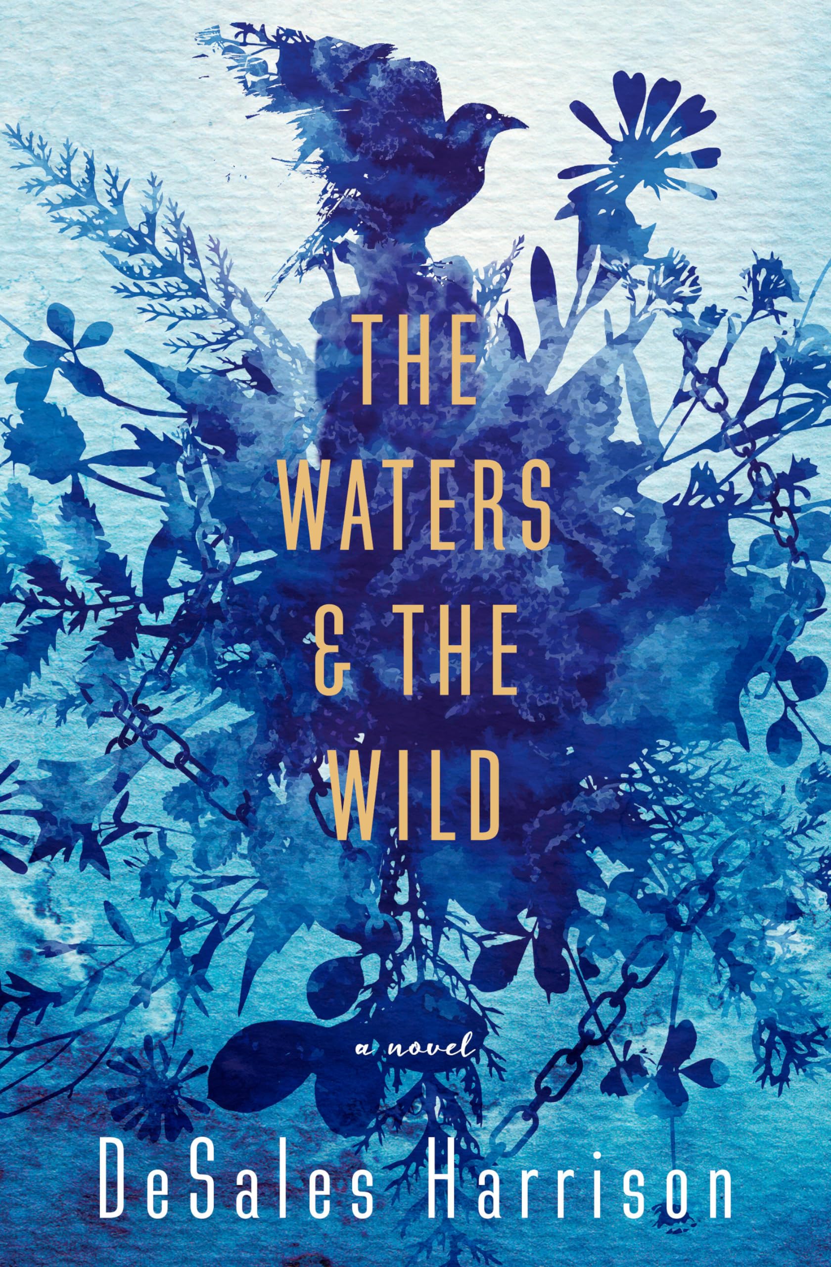 The Waters & The Wild: A Novel,Used