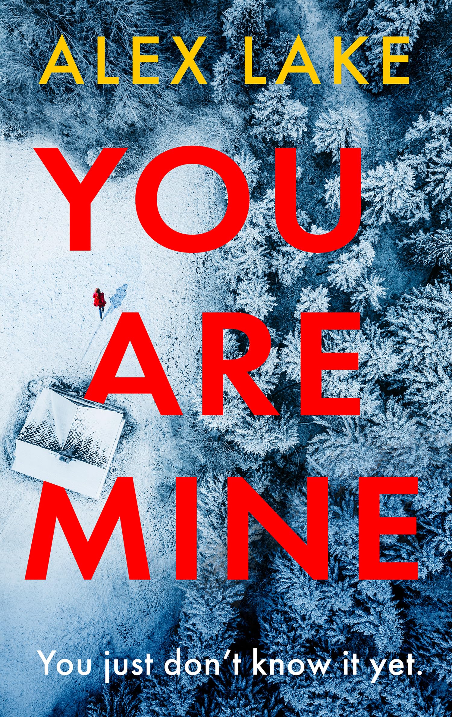 You Are Mine: The New PageTurning Psychological Crime Thriller That Will Keep You Gripped From The Top 10 Sunday Times Bestsell