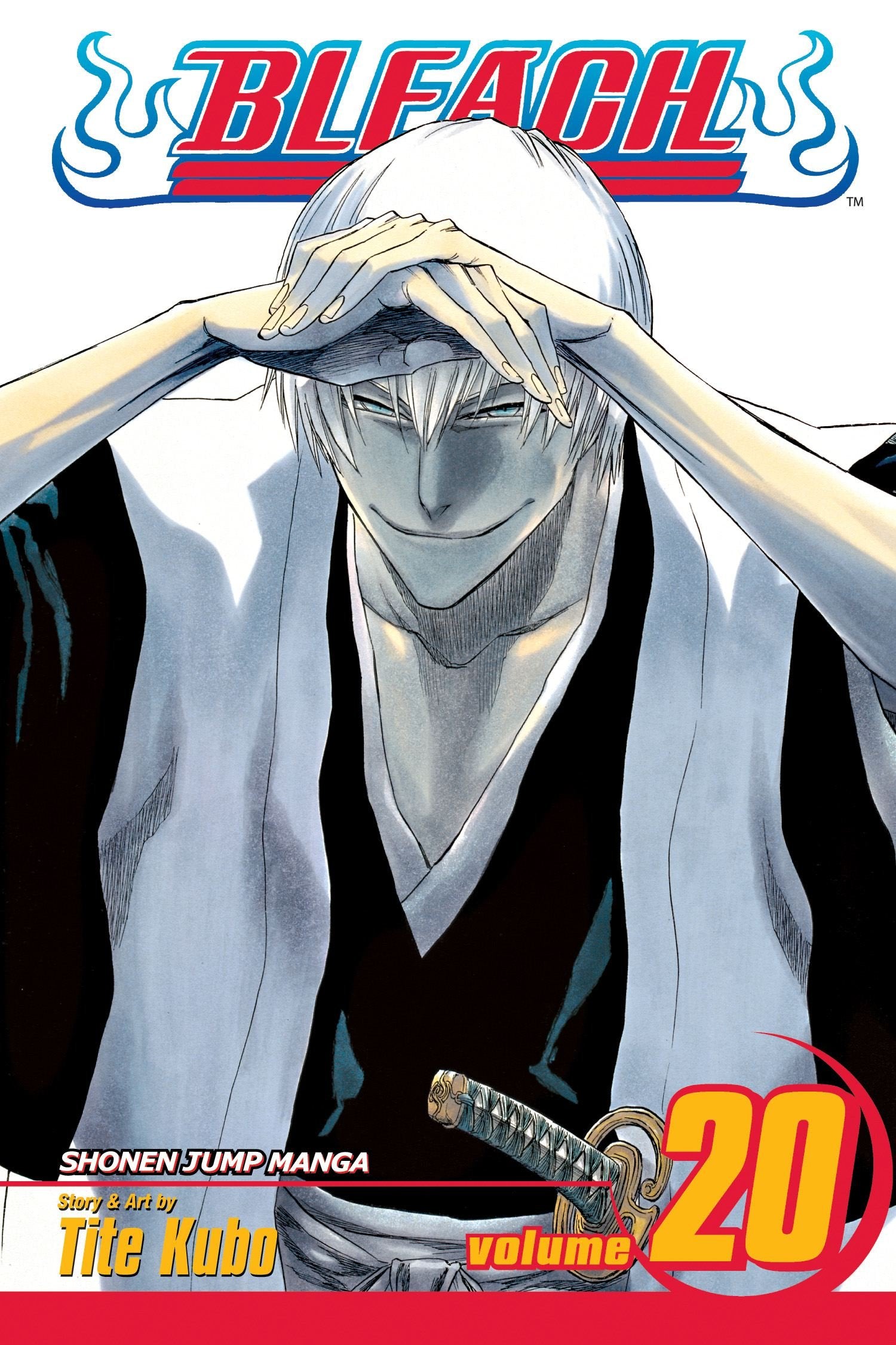 Bleach, Vol. 20,Used
