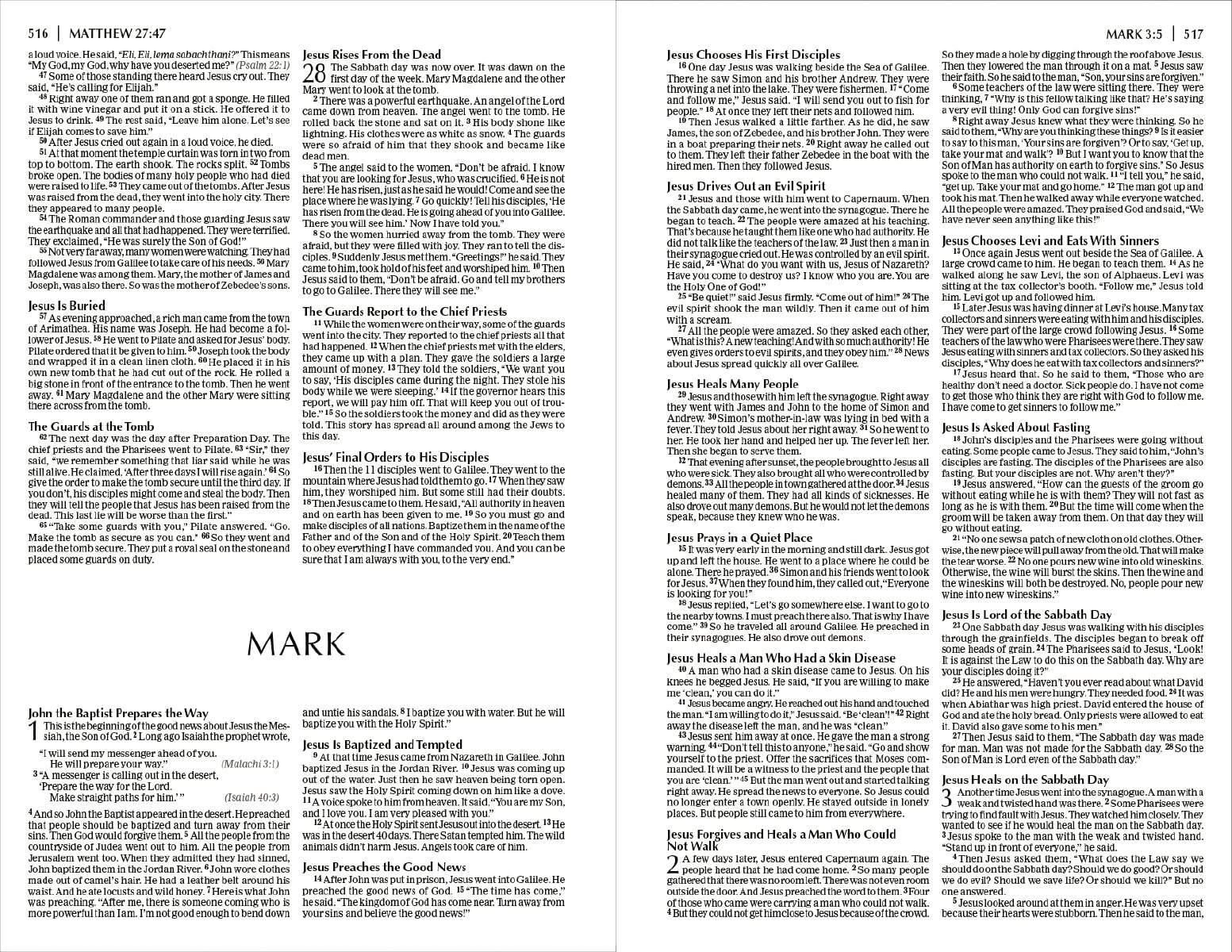 NIrV, Economy Bible, Paperback: Easy to read. Easy to share.,Used