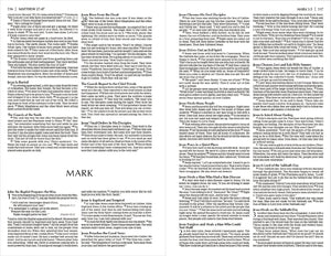 NIrV, Economy Bible, Paperback: Easy to read. Easy to share.,Used