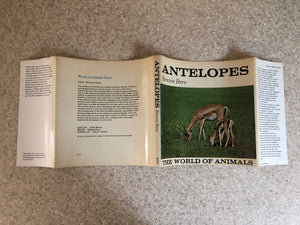 Antelopes (The World of animals),Used