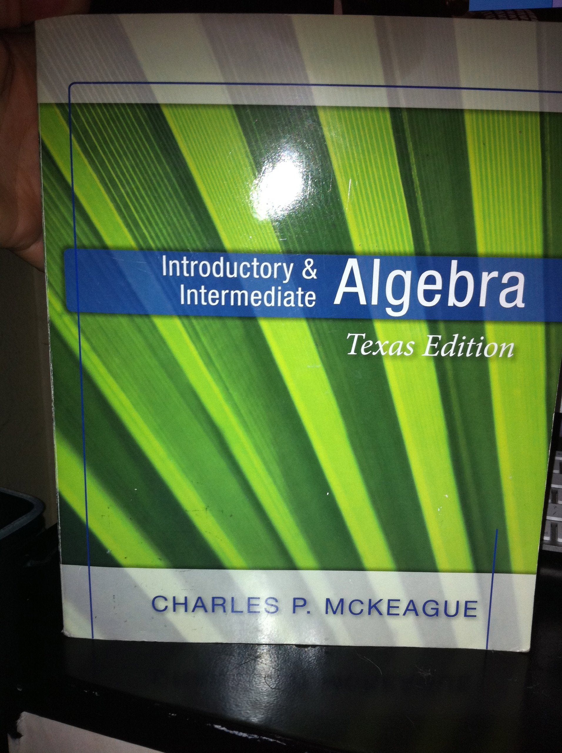 Introductory And Intermediate Algebra: Texas Edition (Concepts And Graphs Series),Used