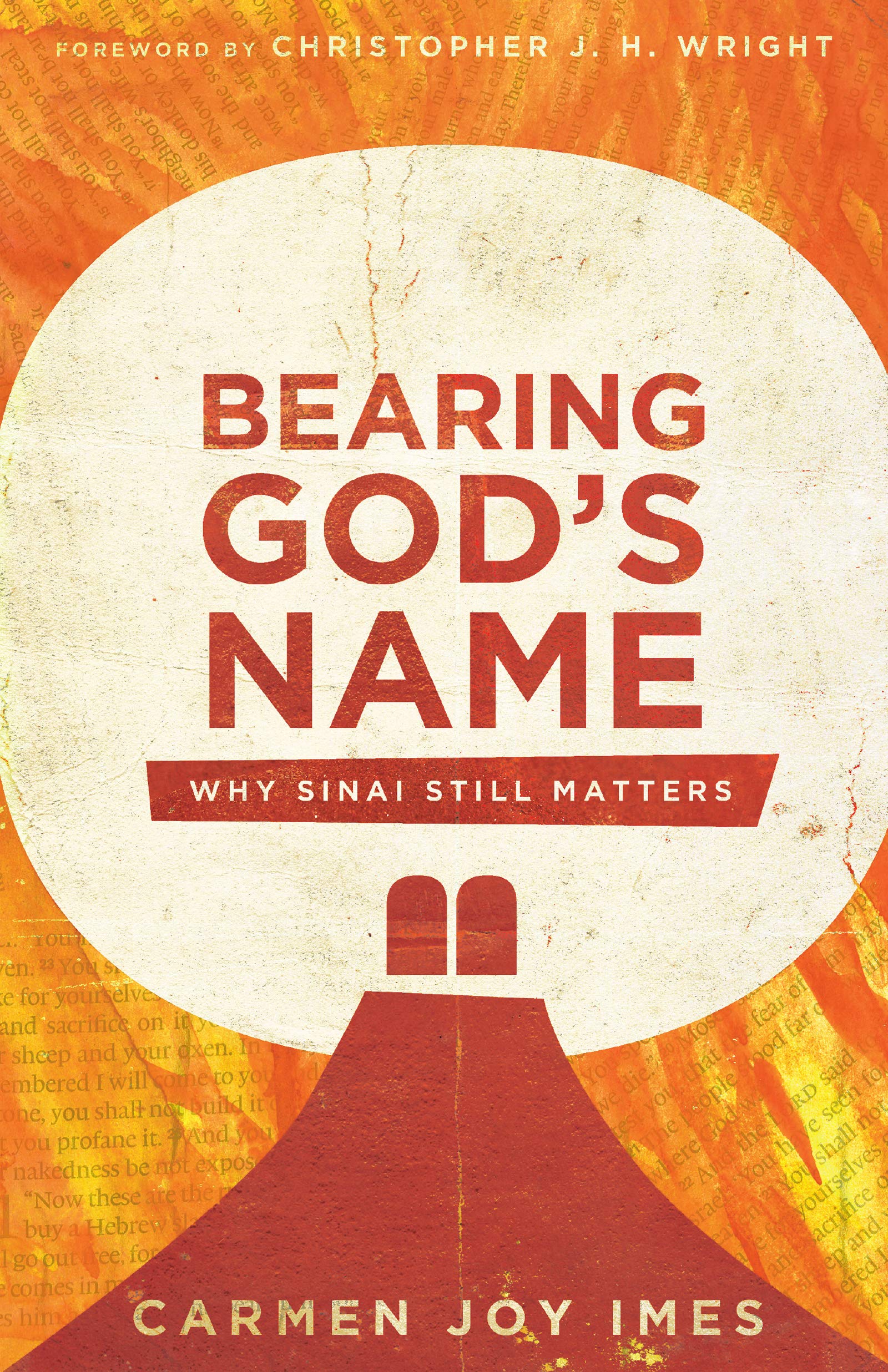 Bearing God'S Name: Why Sinai Still Matters,New