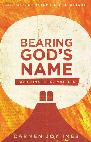 Bearing God'S Name: Why Sinai Still Matters,New