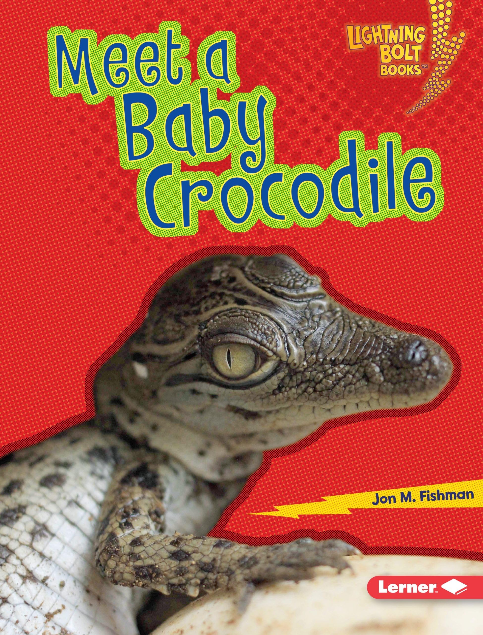 Meet a Baby Crocodile (Lightning Bolt Books   Baby Australian Animals),Used