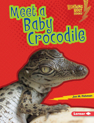 Meet a Baby Crocodile (Lightning Bolt Books   Baby Australian Animals),Used