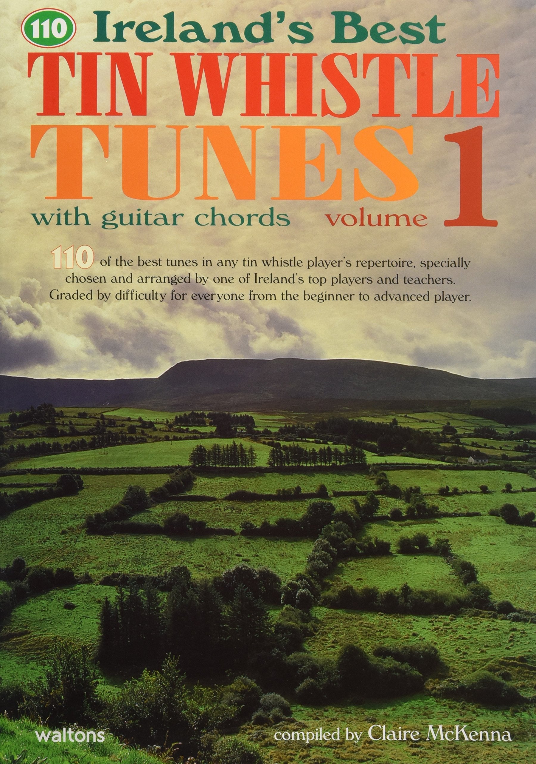 Ireland's Best Tin Whistle Tunes,Used