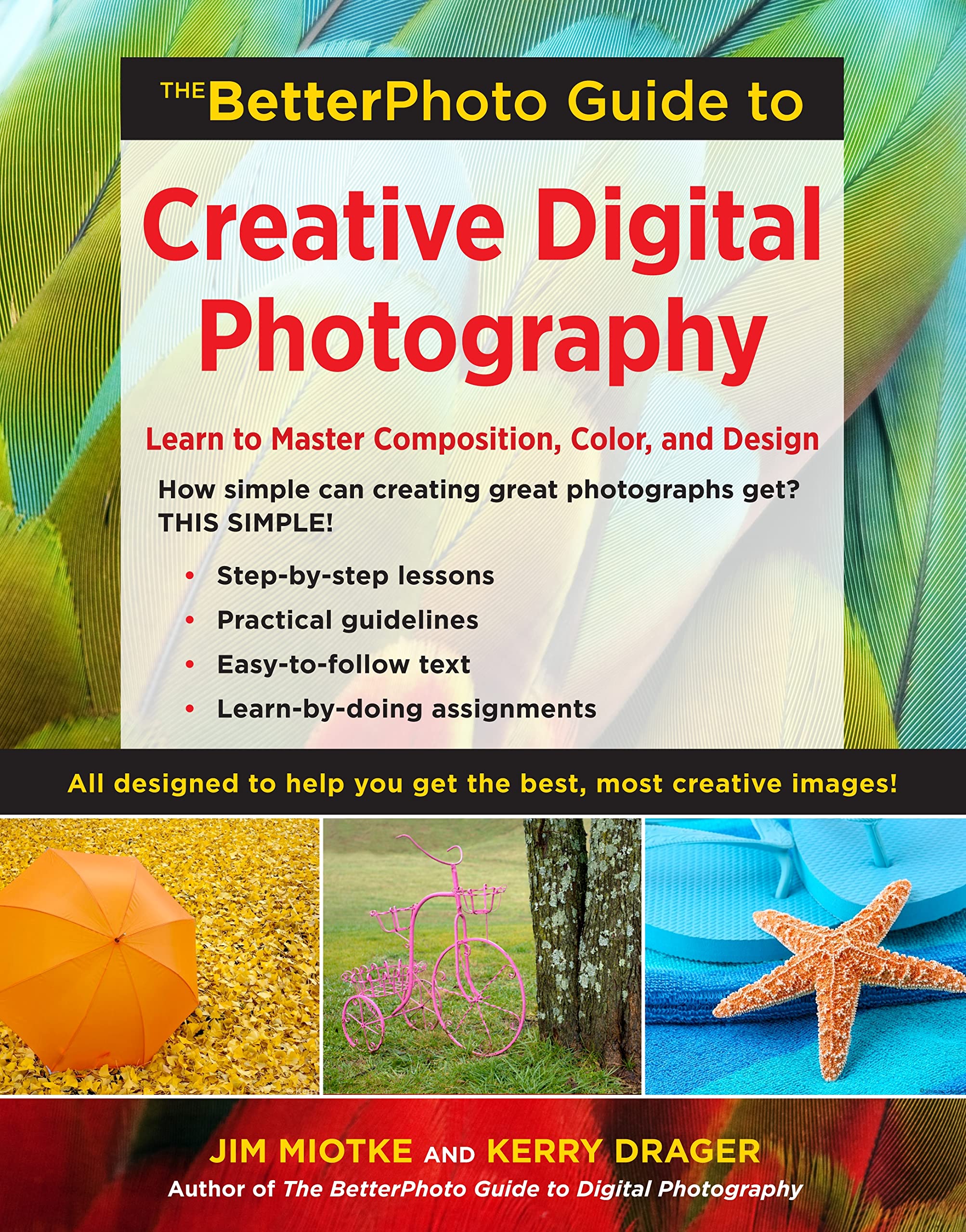 The Betterphoto Guide To Creative Digital Photography: Learn To Master Composition, Color, And Design,Used