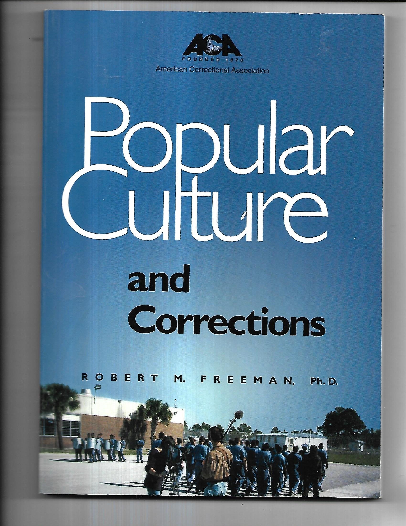 Popular Culture and Corrections,Used