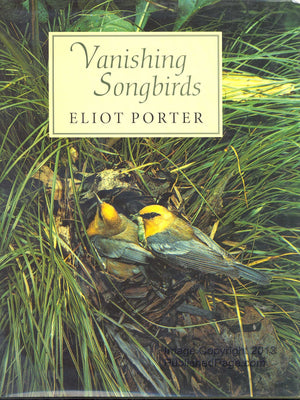 Vanishing Songbirds: The Sixth Order : Wood Warblers and Other Passerine Birds (Constance Sullivan Book),Used