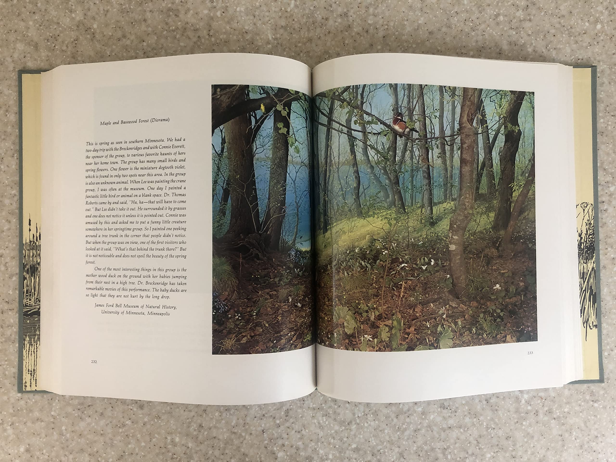 Francis Lee Jaques: Artist of the Wilderness World,Used