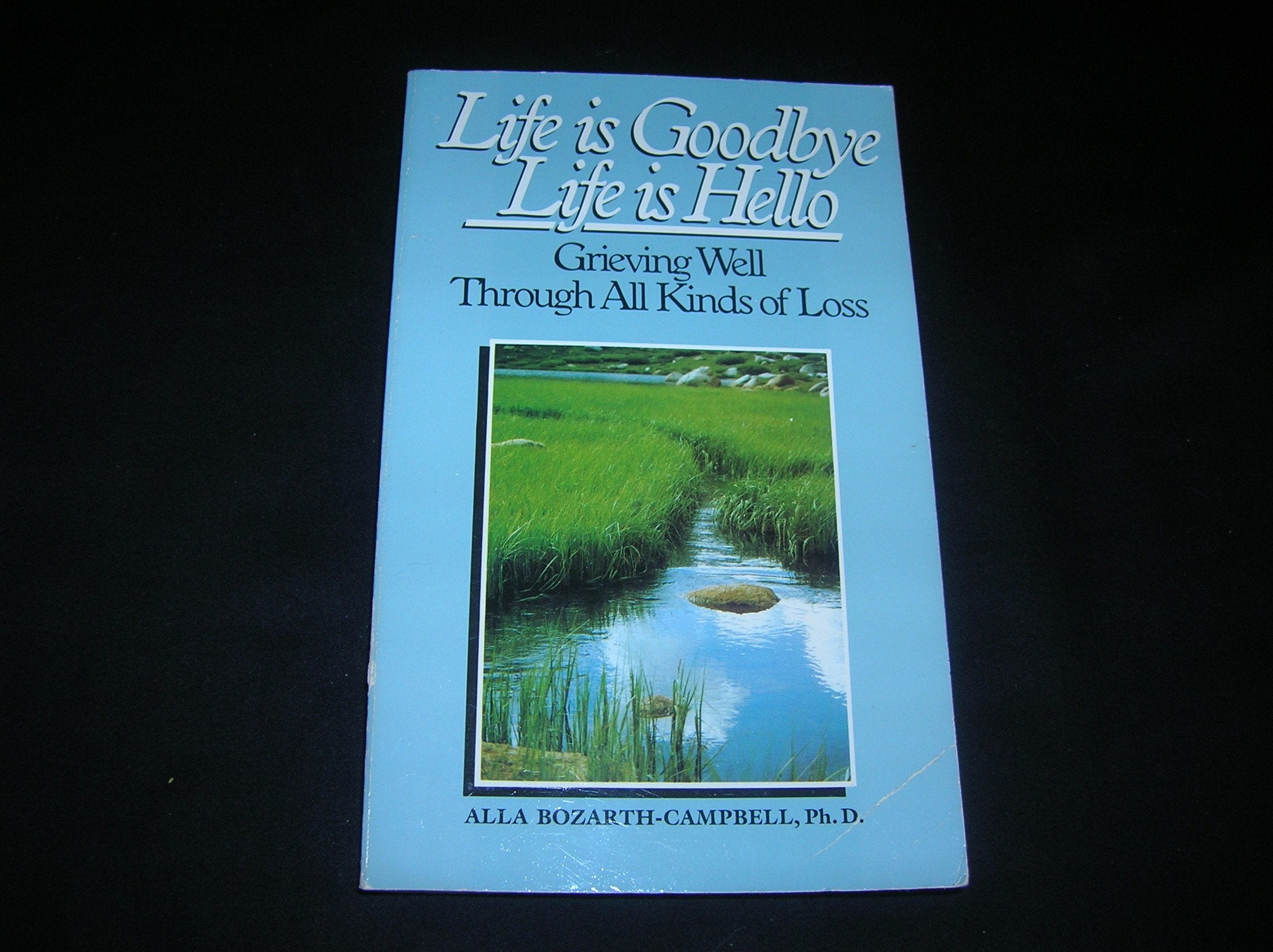 Life is Goodbye, Life is Hello,Used