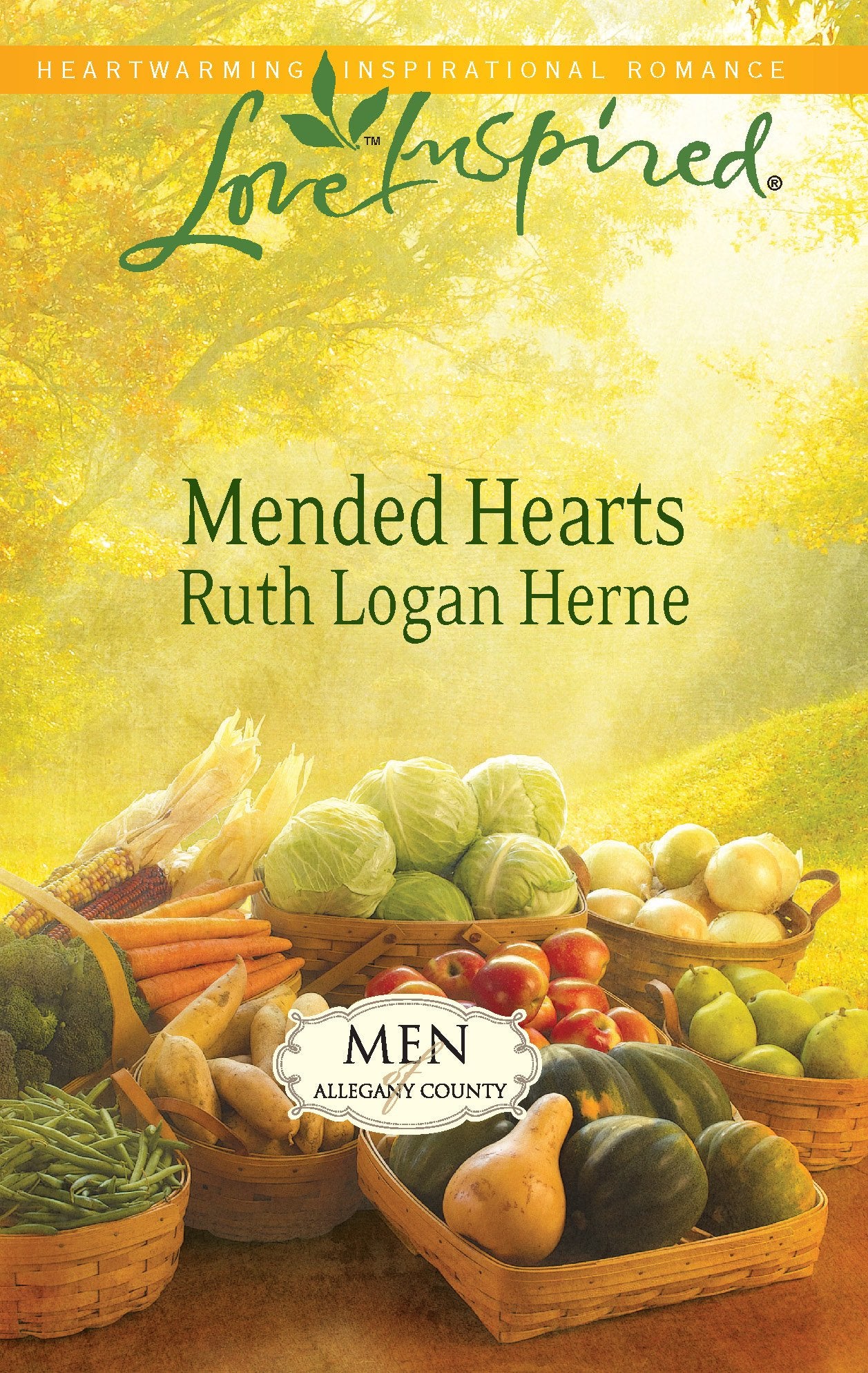 Mended Hearts (Men of Allegany County, Book 3),Used
