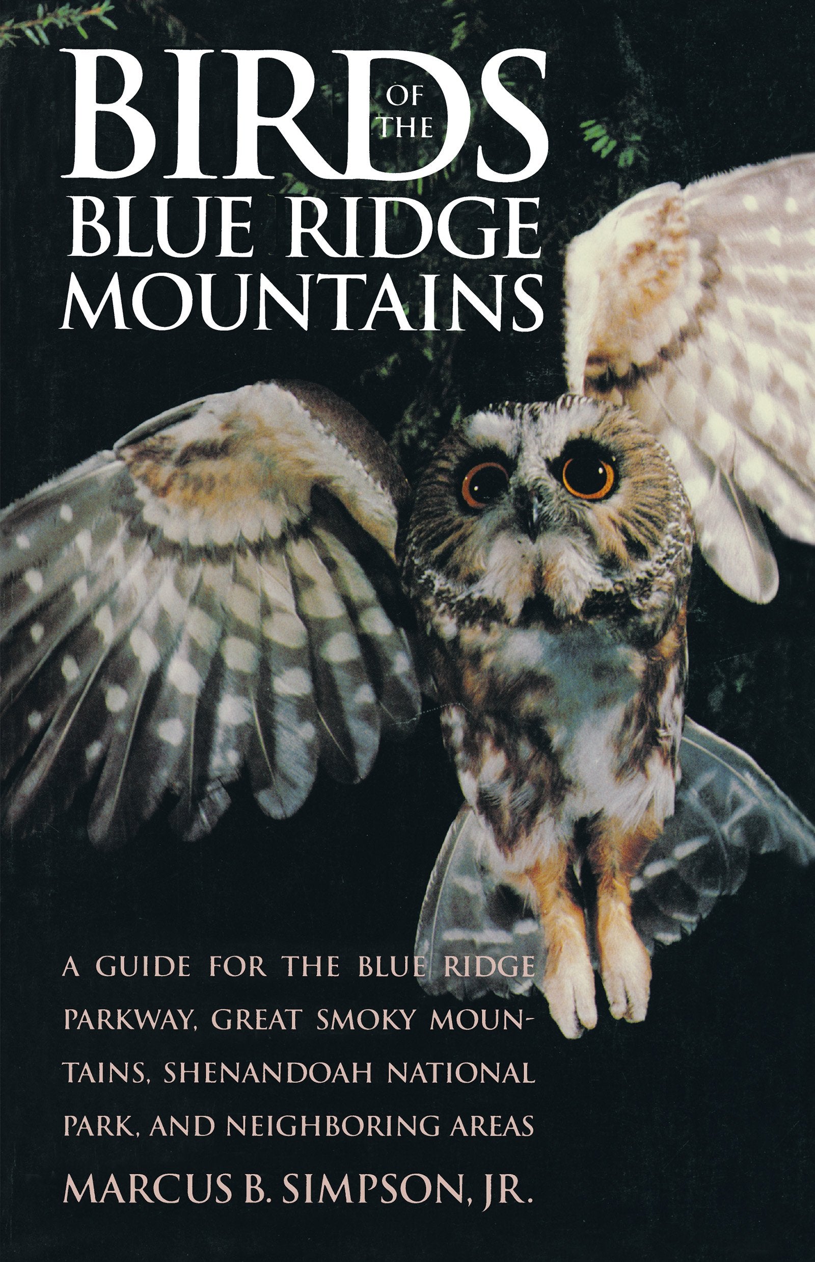 Birds Of The Blue Ridge Mountains: A Guide For The Blue Ridge Parkway, Great Smoky Mountains, Shenandoah National Park, And Neig,Used