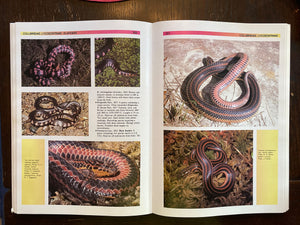 The Atlas of Snakes of the World,Used