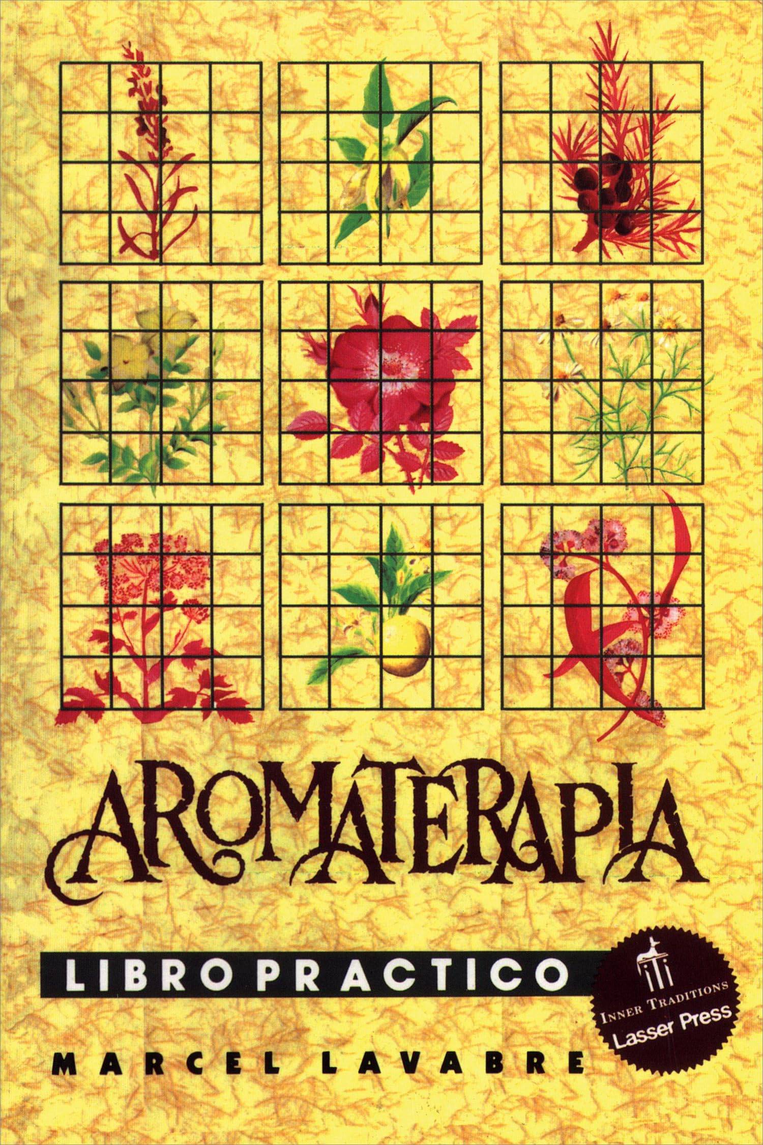 Aromaterapia  Libro Practico,Used