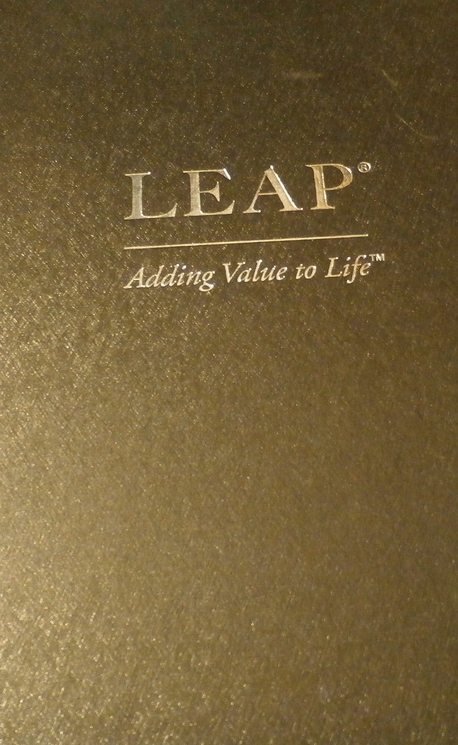 Leap: Lifetime Economic Acceleration Process,Used