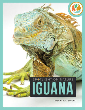 Iguana