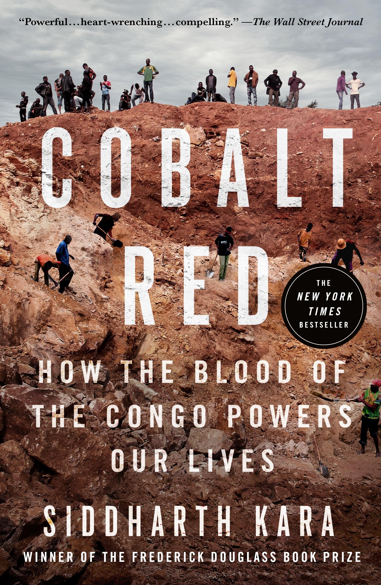 Cobalt Red: How The Blood Of The Congo Powers Our Lives