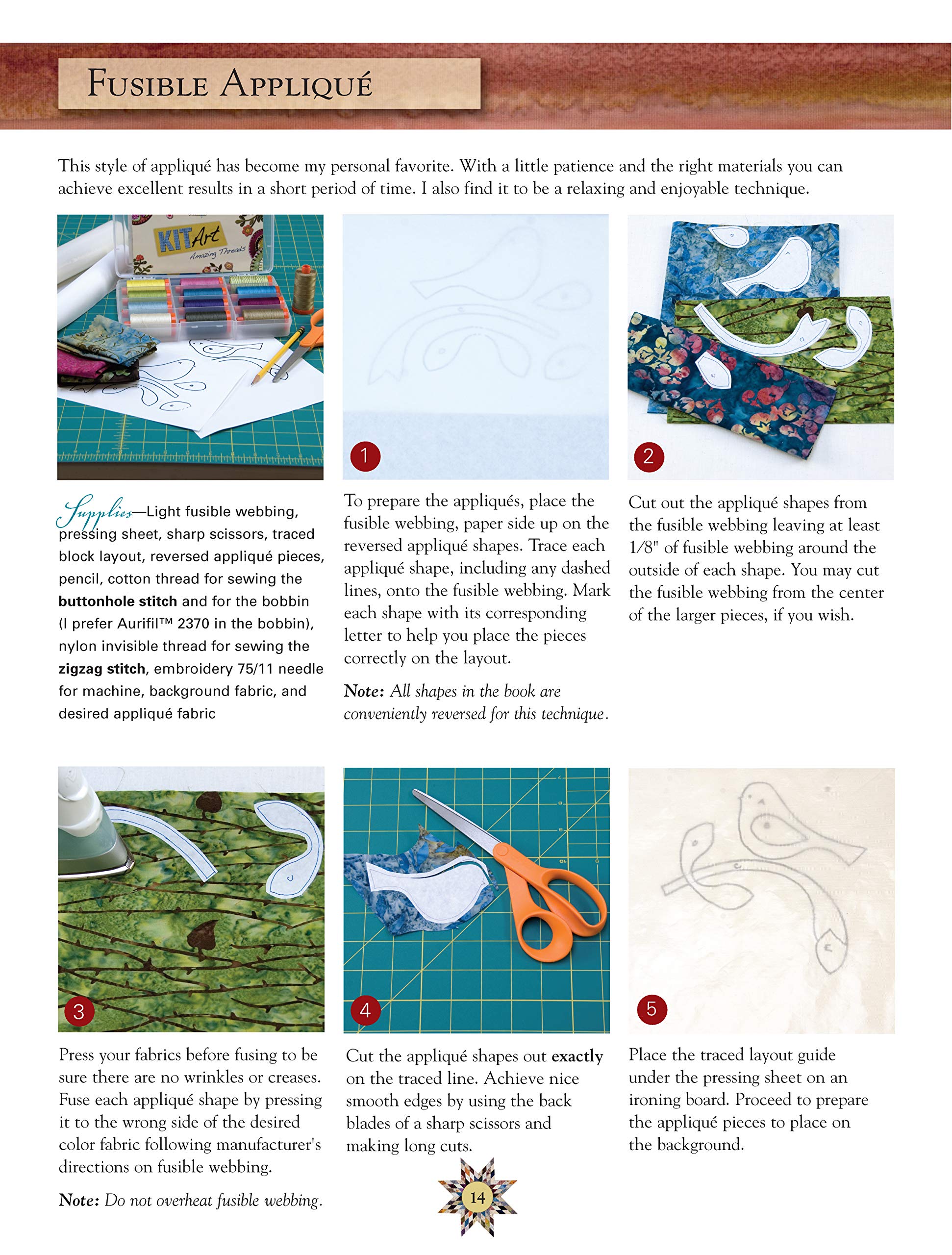 Scrappy Firework Quilts: A Burst of Strips, Scraps & Triangles; 19 Gorgeous Quilting Projects; Five StepbyStep Techniques (Lan,New