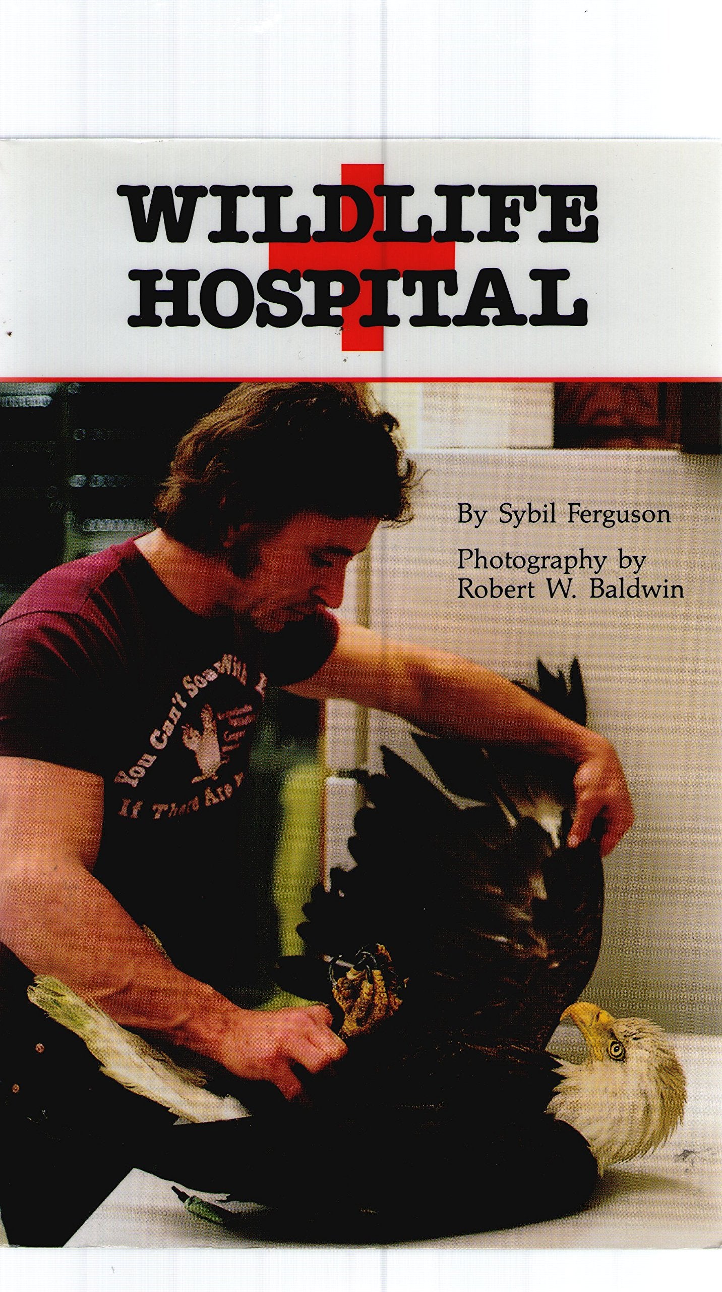 Wildlife Hospital,Used