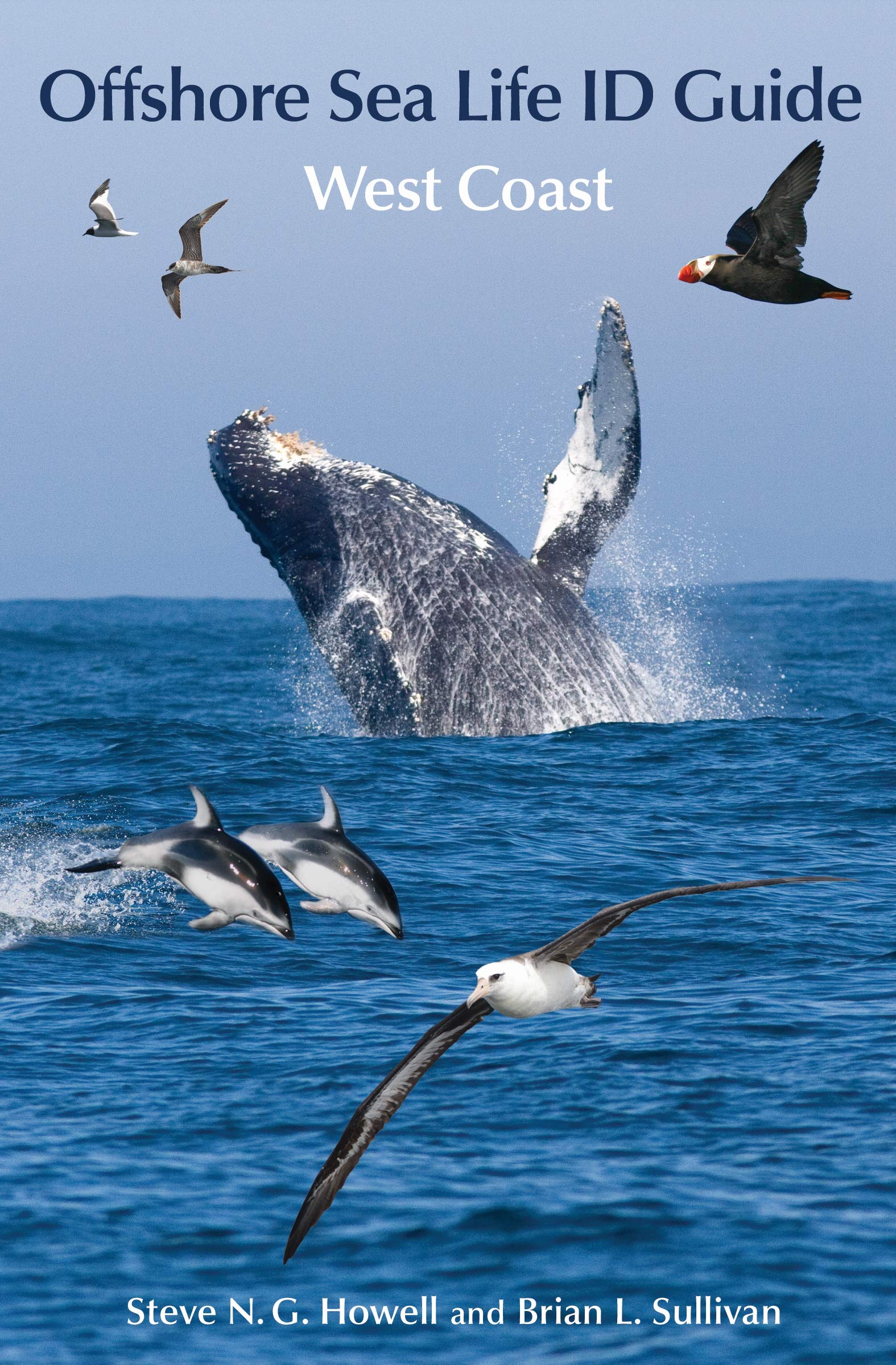 Offshore Sea Life ID Guide: West Coast (Princeton Field Guides),Used
