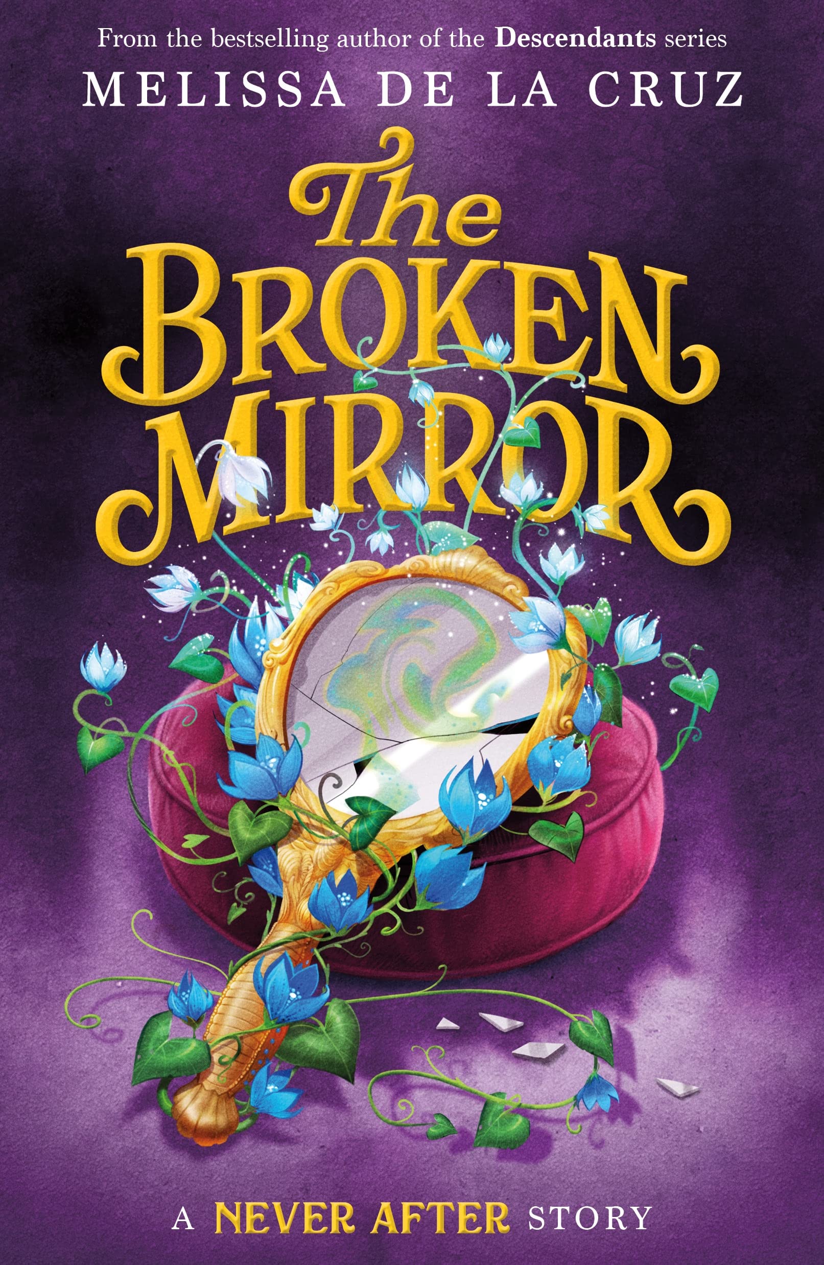 Never After: The Broken Mirror (The Chronicles Of Never After, 3),Used