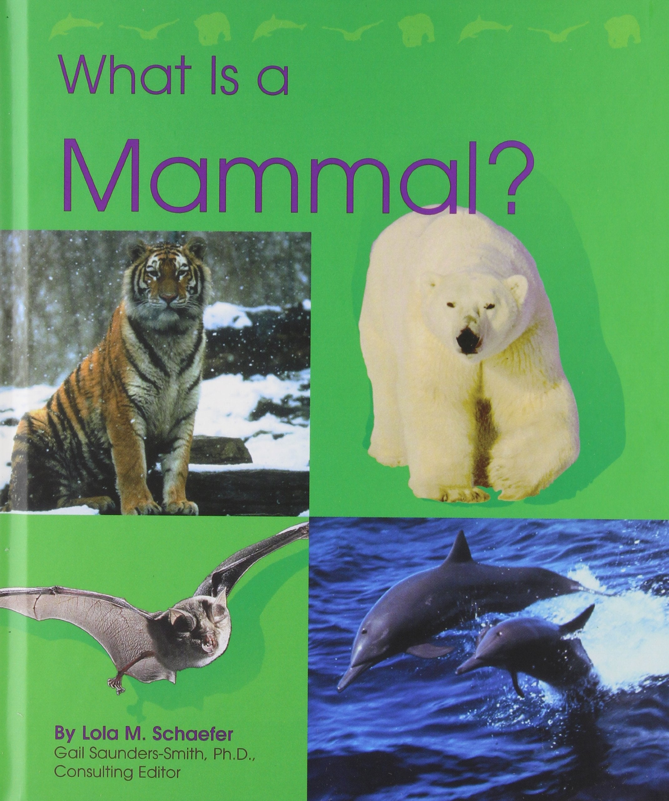 What Is a Mammal (Pebble Books),Used