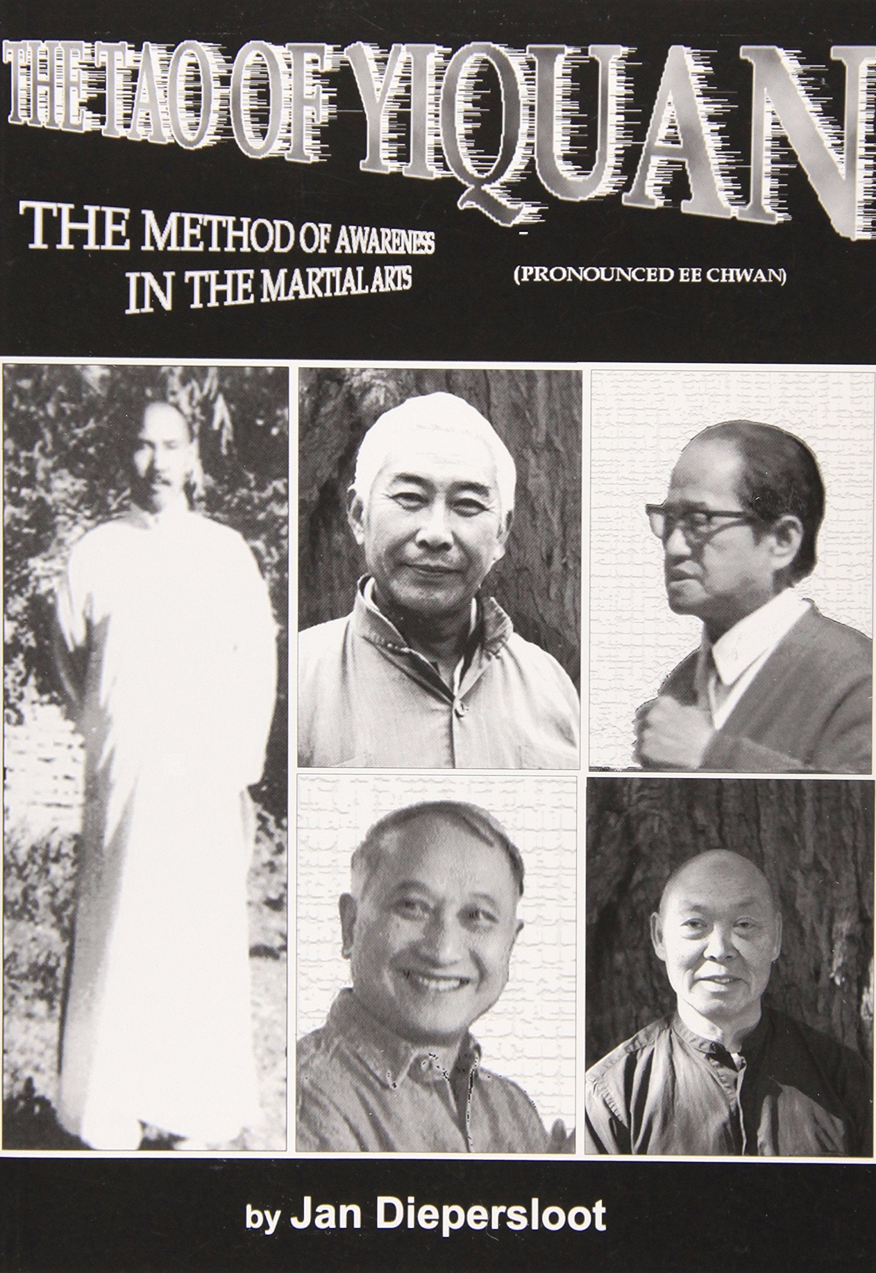 The Tao Of Yiquan: The Method Of Awareness In The Martial Arts,New