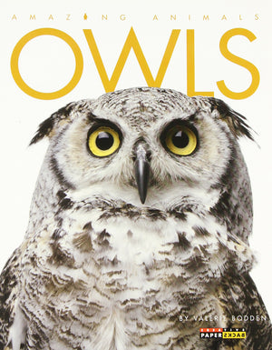 Amazing Animals: Owls