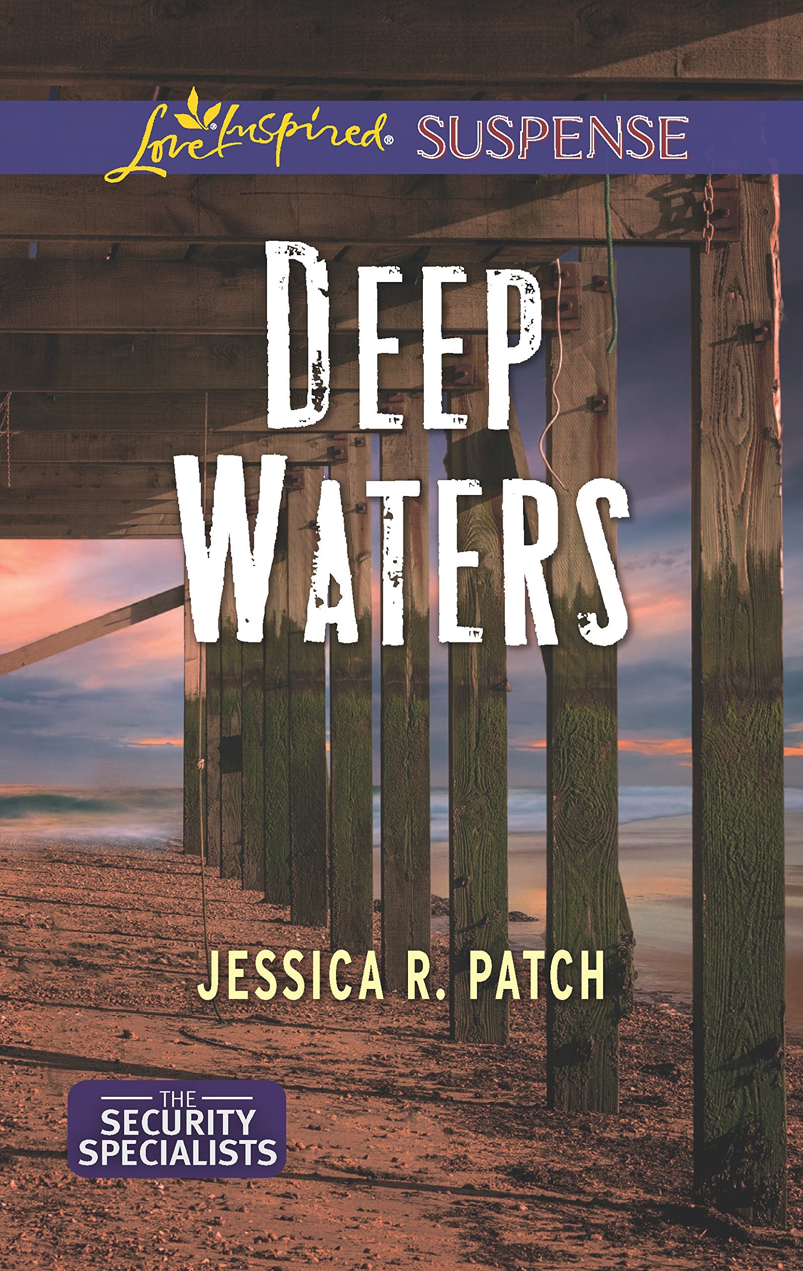 Deep Waters (The Security Specialists, 1),Used
