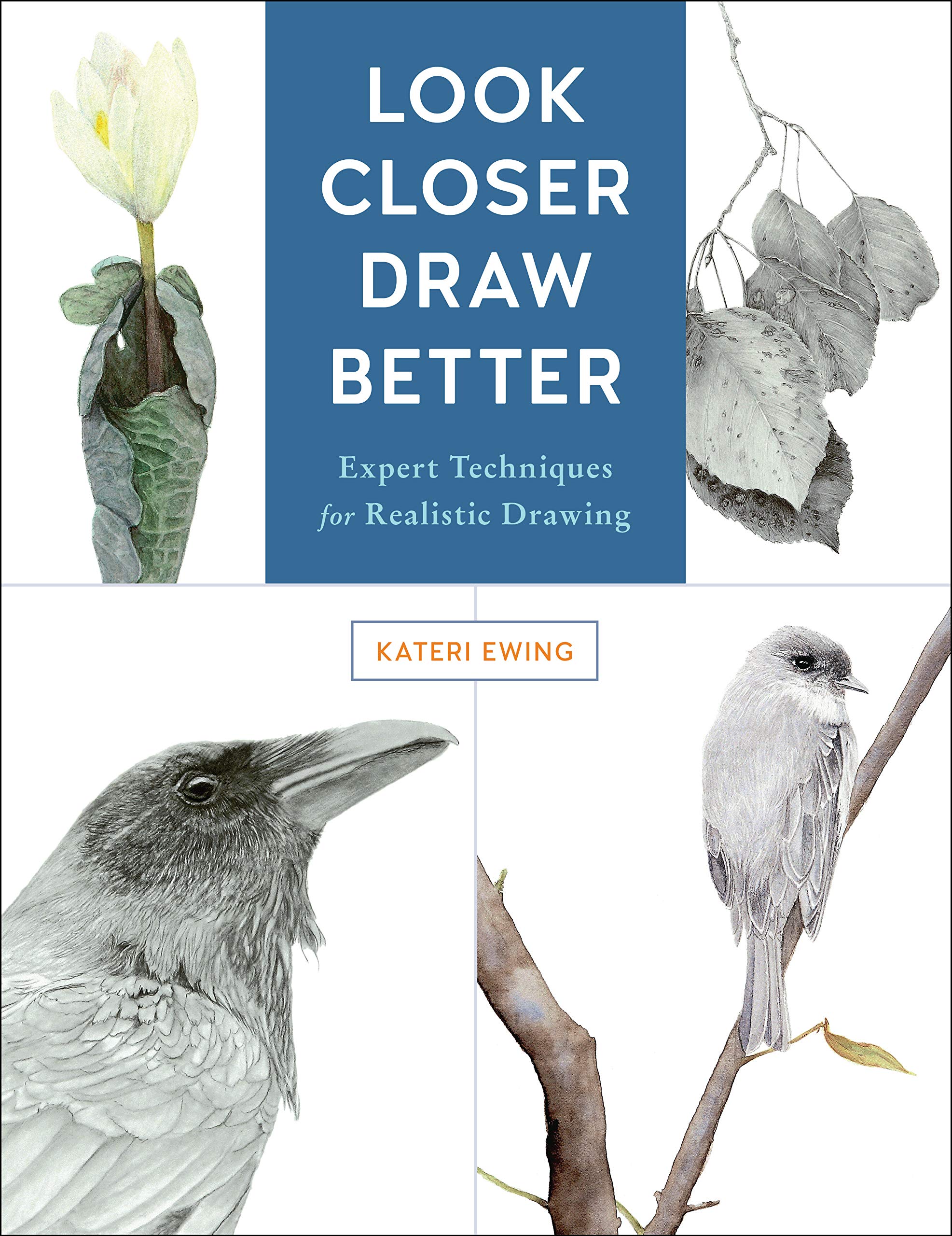 Look Closer, Draw Better: Expert Techniques for Realistic Drawing,Used